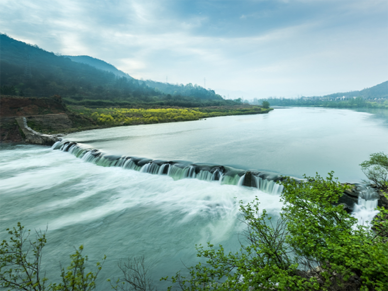 生物毒性檢測(cè)儀