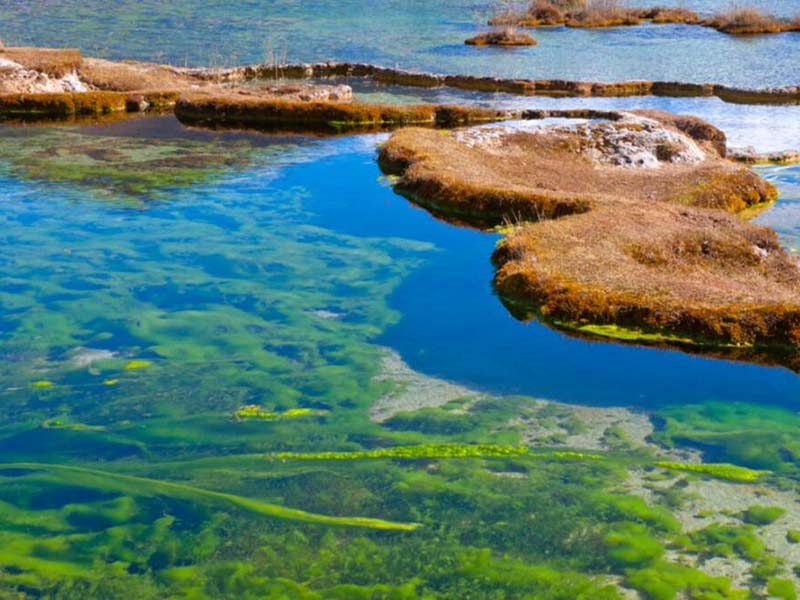 水質(zhì)總氮在線分析儀誤差分析