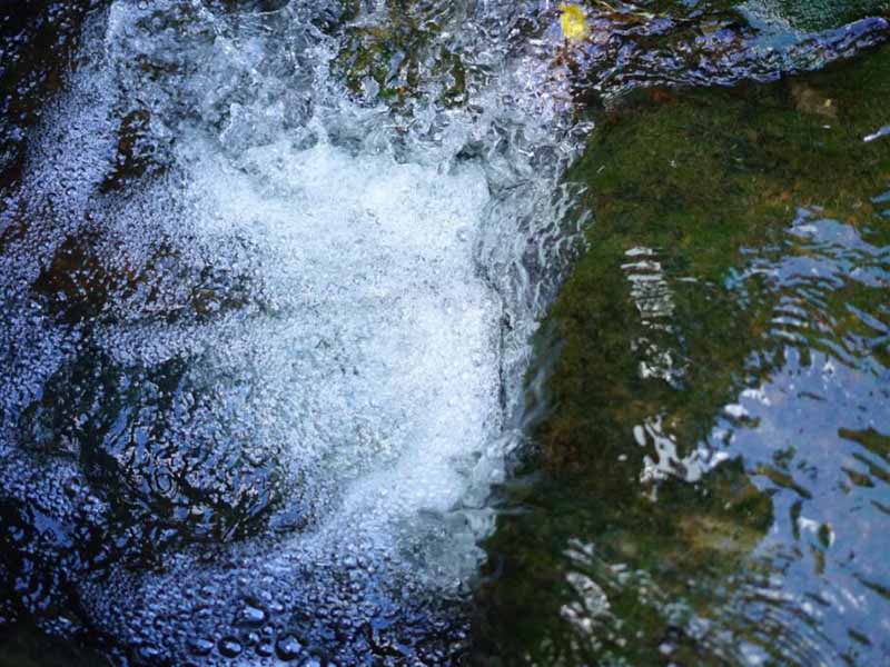 地下水動植物油監(jiān)測方法及標準