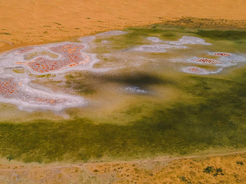 總磷快速檢測儀參數(shù)指標(biāo)