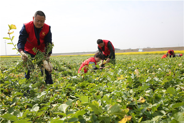 土壤養(yǎng)分速測儀助力農(nóng)貿(mào)開展科學(xué)施肥 土壤養(yǎng)分速測儀助力農(nóng)貿(mào)開展科學(xué)施肥