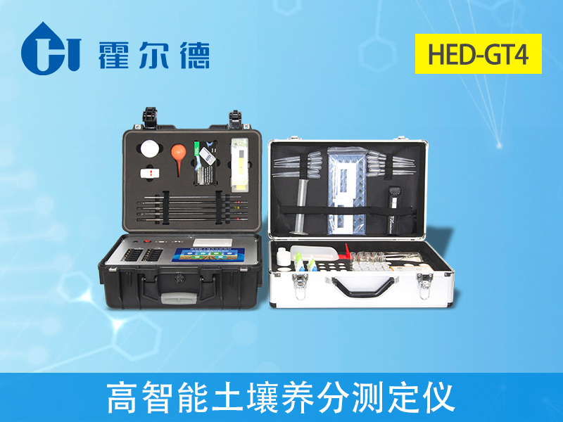 發(fā)財(cái)樹的生長(zhǎng)需要哪些因素