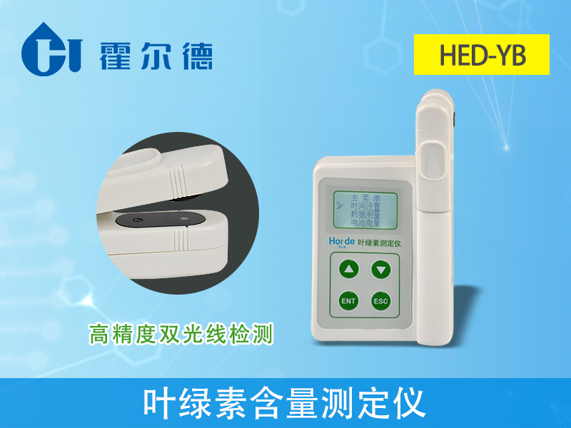 葉綠素含量會影響植物生長嗎